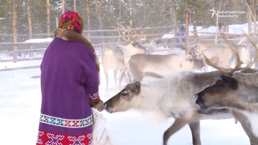 Video: Ropné bohatství Ruska ničí život původních domorodých kmenů